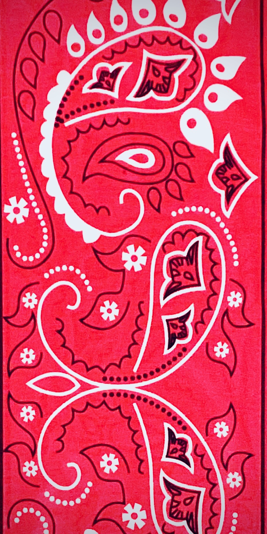 The Catdana! The bandana that needs NO tying! Keeps your neck warm or cool and in 3 NEW COLORS!