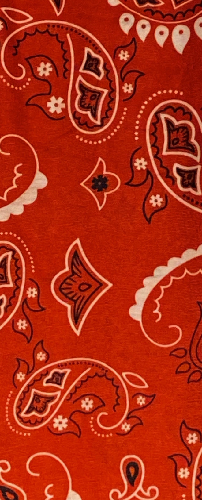 The Catdana! The bandana that needs NO tying! Keeps your neck warm or cool and in 3 NEW COLORS!