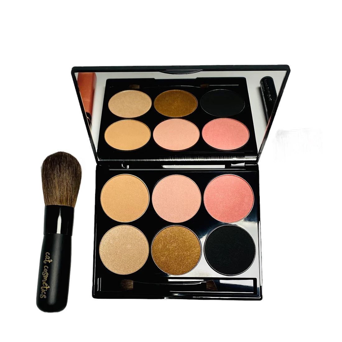 Miracle Working Kit - Kit and Brush Only (No Lip Gloss, No Pencil, just the Kit and Brushes